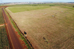 Obra de usina solar da Copel em Bandeirantes segue durante quarentena 
.Foto:Copel