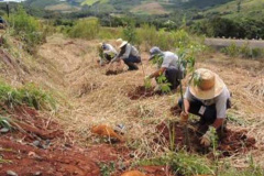 Paraná é premiado por projeto de recuperação de áreas degradadas. Foto:Copel