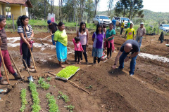 Apoio a famílias rurais é destacado no Dia do Agricultor
.Foto:SEJUF