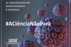 Governo abre vagas para bolsistas atuarem na Polícia Científica
.Arte: Fundação Araucária