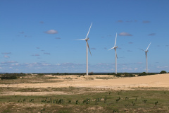 Copel Mercado Livre tem quase 2 MW habilitados em leilão de energia incentivada especial 
. Foto:Copel