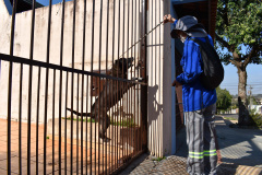 Copel alerta sobre cuidados com cães. Foto: Copel
