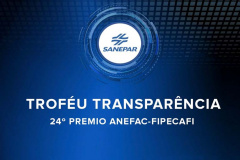 Sanepar conquista troféu por transparência econômico-financeira
. Imagem:Sanepar