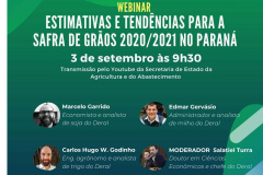 Agricultura promove webinar sobre a safra 2020/2021 no Paraná
. Imagem:SEAB