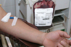 Para combater o Covid-19, Hemepar lança campanha de doação de plasma.
Foto:Venilton Küchler/Arquivo AEN