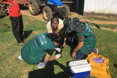 Bloqueio vacinal contra raiva é realizado no Noroeste do Paraná
. Foto:SESA