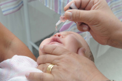 Paraná vai antecipar campanha contra pólio e multivacinação. Foto: Venilton Kuchler/Arquivo AEN