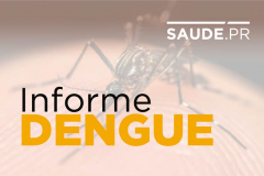 Paraná apresenta o primeiro óbito por dengue no período epidemiológico