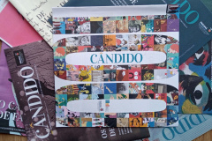 Jornal Cândido ganha nova conta no Instagram
. Foto:BPP