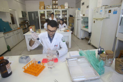 Universidades estaduais do Paraná conquistam nota máxima no Enade. Foto: Jaelson Lucas/Arquivo AEN