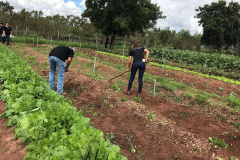 Projeto de reflorestamento com uso de foguetes é de três alunas do Colégio Agrícola de Palotina e está na final do prêmio Respostas para o Amanhã, da Samsung. É o único finalista da região Sul e competiu com 800 projetos de todo o país.

Foto: SEED