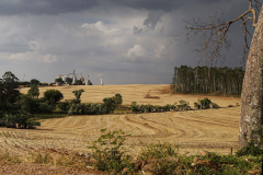 Foto: Jonathan Campos/AEN