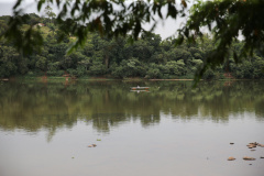 O Instituto Água e Terra (IAT), vinculado à Secretaria do Desenvolvimento Sustentável e do Turismo, informa que inicia neste domingo (1º) o período de restrição à pesca de espécies nativas no Paraná – a piracema. A determinação deve ser cumprida até 28 de fevereiro de 2021.