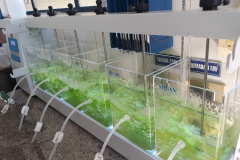 Sanepar detém patente de tecnologia para produção de etanol a partir do esgoto. Foto: Sanepar