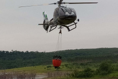 Copel alerta sobre incêndios em áreas de preservação de Usinas. Foto: Copel