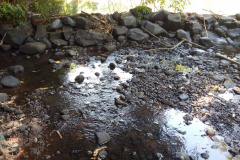 Rio Siemens e Rio Santa Cruz evidenciam a gravidade da estiagem no Sudoeste do Estado. Foto:Sanepar
