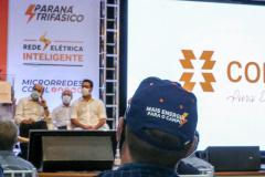O programa Paraná Trifásico alcançou 2,5 mil quilômetros de novas redes de energia elétrica no Estado