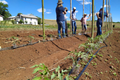 IDR-Paraná usa a internet capacitação conjunta em agricultura orgânica. Foto: IDR