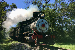 Maria Fumaça entre Morretes e Antonina vira atração no Litoral. Foto: Divulgação ABPF