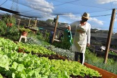 Cultivar Energia doa materiais para horta em Maringá. Foto: Copel