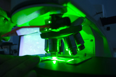 17 pesquisadores das Universidades Estaduais estão entre os melhores do mundo na área das Ciências Biológicas. Foto:SETI