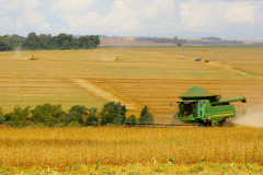 Paraná deve produzir 24 milhões de toneladas na safra de verão. Foto: Jaelson Lucas/Arquivo/AEN