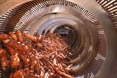 A Amidos Bankhardt, localizada em Paranavaí, existe há 15 anos e produz fécula de mandioca. São 50 funcionários e produção mensal de 1,25 toneladas, sendo que a maior parte é destinada a outras indústrias de transformação. Foto: José Fernando Ogura/AEN