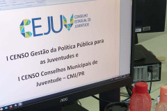 Atuação online mantém atividade dos conselhos de direitos do Estado. Foto:SEJUF