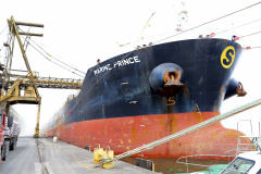 No berço 204, a oeste do cais do Porto de Paranaguá, o embarque de um novo produto chamou a atenção nesse início de semana. A granel, pellets de bagaço de cana-de-açúcar encheram os porões do navio Marina Prince. A biomassa é produto de exportação que vai atender o mercado do Reino Unido na geração de energia sustentável. A operação está sendo concluída nesta terça-feira (12).