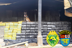 Com apoio do Estado, BPFron faz maior apreensão de drogas da história da unidade
. Foto: PMPR