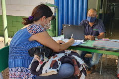 Programa estadual de castração chega a Mariluz. Foto:SEDEST