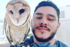 Nos últimos meses houve um aumento na procura de animais para fazer companhia na pandemia. O mais comum em se ter em casa são os cachorros e gatos, mas tem muita gente também preferindo adquirir um animal silvestre. É isso mesmo! Esses animais diferentes estão sendo cada vez mais procurados.Foto:IAT