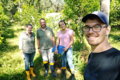 A Universidade Estadual do Oeste do Paraná (Unioeste), em parceria com o Instituto Nacional de Tecnología Agropecuária (Inta) da Argentina, desenvolve dois projetos de controle de pragas da erva-mate. A planta, utilizada na produção do chimarrão, é responsável por uma cadeia produtiva que movimenta R$ 1,2 bilhão de dólares ao ano.  -  Foto: Divulgação Unioeste