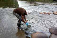 O Instituto Água e Terra (IAT) acompanhou, já nas primeiras horas, o acidente ambiental ocorrido no sábado (13) na BR-376, km 679 + 100m, em Guaratuba, pista sentido Sul, onde um caminhão que transportava produto químico tombou e derramou grande parte de sua carga, atingindo o rio São João.  -  Foto: Divulgação IAT
