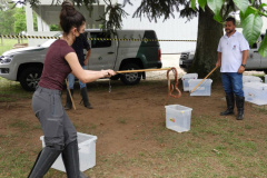 O Instituto Água e Terra (IAT) recebe nessa segunda-feira (22) mais 100 novos residentes ambientais. -  Foto: Divulgação SEDEST