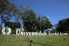 A Pró-Reitoria de Graduação (Prograd) e a Coordenadoria de Processos Seletivos (COPS) tornam público, a partir desta terça-feira (2), às 17 horas, o Edital nº 001/2021 para estudantes que desejam participar do processo de transferência externa em 2021. São 494 vagas disponíveis para 29 cursos.  - Foto: Jaelson Lucas/Aequivo AEN