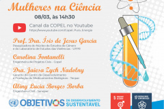 Evento online debate participação das mulheres na ciência  -  Foto: Divulgação Copel