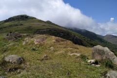 Parques Estaduais reabrem com restrições a partir dessa quarta  -  Foto: Divulgação SEDEST