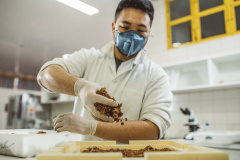Pesquisadores da Universidade Tecnológica Federal do Paraná desenvolveram um material produzido a partir do crescimento de fungos em resíduos da agroindústria que pode substituir plásticos, poliestireno expandido e outros materiais danosos ao meio ambiente utilizados na indústria de embalagens e na construção civil. Foto: Fundação Araucária