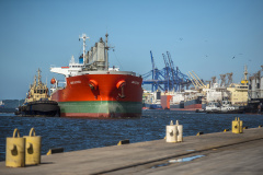 O Porto de Paranaguá completa 86 anos nesta quarta-feira, dia 17 de março, e aposta em inovação para se tornar hub logístico da América Latina. -  Foto: Claudio Neves/Portos do Paraná
