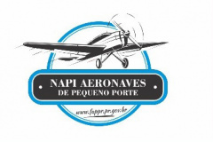 A Fundação Araucária realiza na próxima segunda-feira (29), a partir das 10h, a cerimônia online de lançamento do NAPI ? Aeronaves de Pequeno Porte. O objetivo é de instituir uma cooperação técnico-científica que promova a constituição de programas, projetos e atividades no campo da pesquisa, ensino, produção e inovação.  -  Curitiba, 23/03/2021  -  Foto: Divulgação Fundação Araucária