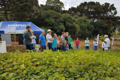 Produtores de feijão e milho interessados em melhorar a produtividade das suas lavouras estão convidados a participar de um Dia de Campo Virtual, nos dias 30 e 31. A atividade é parte da ação do Projeto Centro-Sul de Feijão e Milho, uma parceria entre a Syngenta e o IDR-Paraná (Instituto de Desenvolvimento Rural do Paraná-Iapar-Emater). -  Curitiba, 29/03/2021  -  Foto: Divulgação IDR