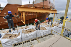 Operações inéditas são realizadas no Porto de Antonina