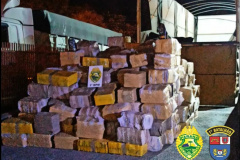 Carga de 3,6 toneladas de maconha é apreendida pela PM durante a operação Tático Móvel III em Prudentópolis (PR) - Foto: SESP/PR