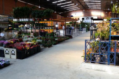 A Ceasa Curitiba está intensificando os cuidados na circulação em seu mercado atacadista tanto de hortigranjeiros, como para a comercialização de flores e plantas ornamentais. - Curitiba, 16/04/2021  -  Foto: CEASA/PR