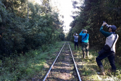Teve início, nesta semana, a segunda fase do diagnóstico da fauna ao longo do traçado por onde vai passar a malha ferroviária da Nova Ferroeste.  -  Foto: Fundação Instituto de Pesquisa Econômica