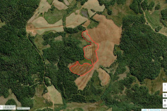 O Estado do Paraná, através do Instituto Água e Terra (IAT), deve intensificar a emissão de multas remotas neste ano, utilizando como base ferramentas via satélite.  -  Curitiba, 23/04/2021  -  Foto: Divulgação Sedest/IAT - capturas da plataforma MapBiomas
