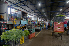 Permissionários atacadistas da Ceasa Curitiba fazem doação 25 toneladas de alimentos para entidades beneficentes de Curitiba e Região Metropolitana, além de famílias atingidas pelas chuvas em Irati, na região Centro-Sul do Estado. - Curitiba, 29/01/2021  - Foto: Gilson Abreu/AEN