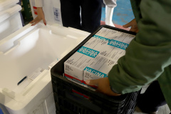 São 303.000 doses da Covishield, da Universidade de Oxford/Astrazeneca/Fiocruz, e 6.200 doses da Coronavac. Doses serão distribuídas às 22 Regionais do Paraná a partir das 8h desta sexta-feira (29). Foto: Ari Dias/AEN