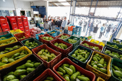 O governador Carlos Massa Ratinho Junior acompanha  a entrega nesta sexta-feira (30), de cerca de 50 mil quilos de produtos arrecadados junto aos permissionários, atacadistas e produtores no Ceasa. Foto: Jonathan Campos